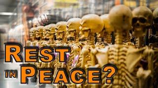 Selling Human Remains Online?  with Dr Damien Huffer