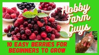 10 Easy Berries for Beginners (Or Anyone) to Grow!