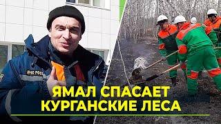 На лесные пожары в Курганскую область прибыл сводный отряд «Ямалспаса»