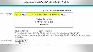 How to Send Custom SMS