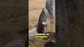 Uncovering Ancient Secrets The Mysterious Tia Stone Pillars in Ethiopia