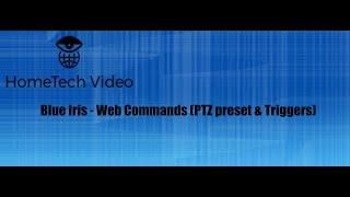 Blue Iris - Web Commands (PTZ and Triggers)