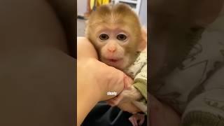  #animals #animalove #cuteanimals #pets