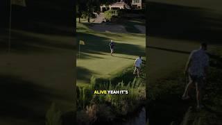 I love YouTube golf #improveyourgolf #golfcourse #golfaround