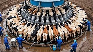 Farmers couldn't believe this machine, Until they saw how it worked - Most Ingenious Farm Inventions