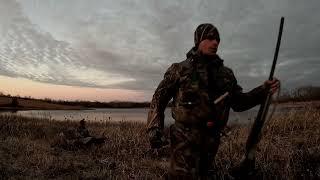 Mid December Duck Hunt! Merganser beat down!