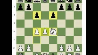 Chess.com - Amateur Game Review: Amateur's Mind 1