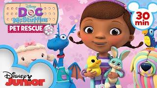 Pet Rescue | 30 Minute Compilation | Doc McStuffins | @disneyjr