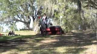 Selena O'Hanlon & Wisher Red Hills  CIC 1 Star 2013