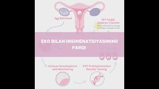 EKO bilan Insimenatsiyaning farqi #bepushtlik #eko #homiladorlik #jinsiyhayot