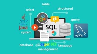 Hướng dẫn tạo CSDL trên MySQL Workbench  chi tiết | Lidager Dev