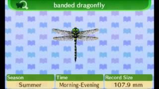 Animal Crossing New Leaf - 100% Bug Encyclopedia Complete