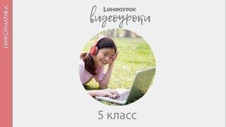 Информация. Компьютер. Информатика | Информатика 5 класс #1 | Инфоурок