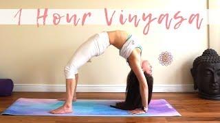 A Solid Practice!  One Hour Vinyasa - Freedom, Joy, Peace, Expansiveness, Ease of Being