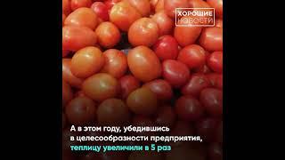 В Дагестане сдали в эксплуатацию современный тепличный комплекс