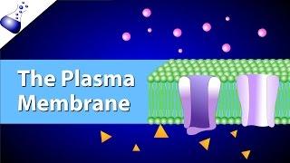 The Plasma Membrane and the Fluid Mosaic Model