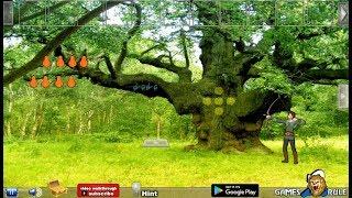 G2R Robin Hood Treasure Hunt Escape Walkthrough [Games2Rule]