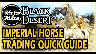 BlackDesert Imperial Trading Horse Guide Easy Step by Step for Beginners New and Return Players BDO