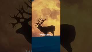 Is the new Great One actually elk?? #thehuntercotw #thehunter #hunting #cotw #gaming #shorts