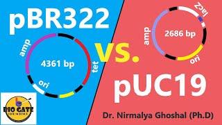 pBR322 vs pUC19 #animation #cloning #csirnet