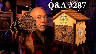 Backyard Beekeeping Q&A #287  Are honey bees invasive?