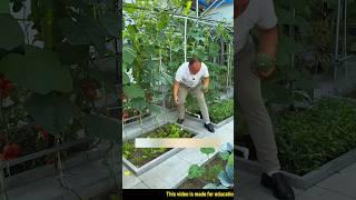 Organic home nursery idea #facts #reels #trending #shorts