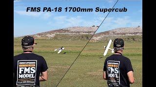 MIchael Wargo Flies the FMS 1700mm PA-18 Super Cub PNP with Reflex V2