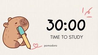  Study With Me | 2 Hour Deep Work Pomodoro | 30 Min Focus / 5 Min Break 