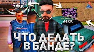 ЧАСТНЫЕ БАНДЫ - ИХ ФАРМ БИТВЫ И ПОПУЛЯРНОСТЬ! - ARIZONA RP