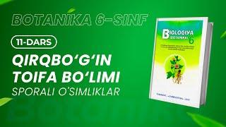 Botanika 6-sinf  | Qirqbo‘g‘in tonfa bo‘limi (Sporali O‘simliklar) | 10-dars