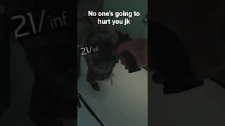 No one's going to hurt you jk #pavlov #vrgaming #vr #psvr2 #funny #funnyvideo #short #shorts #2023