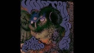 VOID TRIPPER - DOPEFIEND (full Album 2021)