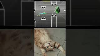 School Be Like Bye Bye Moment  Geometry Dash Mewing cat meme #shorts #geometrydash #mewing