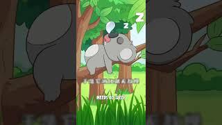 The Dumbest Animal on Earth?