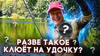 РАЗВЕ ТАКОЕ КЛЮЁТ НА УДОЧКУ?