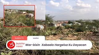 War-bixin  Xabaalo Hargeisa Ku Dayacan Iyo Sheikh Ka Hadley