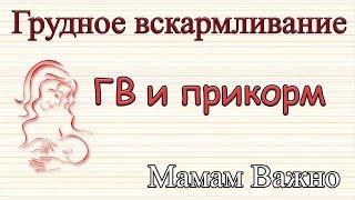 Лактация и прикорм. Как сохранить грудное вскармливание