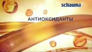 Реклама  Schauma | Шаума облепиховый заряд