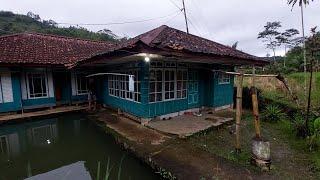 Hidup di desa,, Suasana di kampung pesawahan perbatasan cianjur bandung