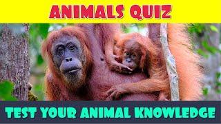 Animal General Knowledge Quiz