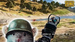 The ACCIDENTAL RAT - PUBG