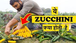 EARN ₹4.6 LAKH in 50 days -by growing this Vegetable  | With proof @OrganicAcre
