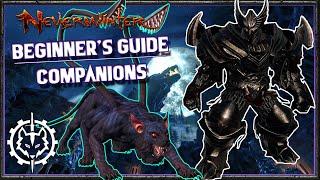 Neverwinter | Beginner's Guide: Companions