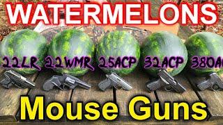 Mouse Guns VS Watermelons .22LR .22WMR .25ACP .32ACP .380ACP