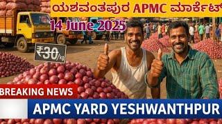 14 June 2025 Bangalore Yeshwantpur market | onion rate hike | APMC market rate | APMC onion market