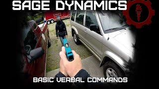 Sage Dynamics Basic Verbal Commands