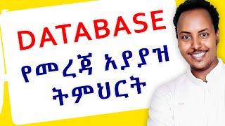 DATABASE ሙሉ ትምህርት በአማርኛ | Database system full Amharic tutorial | Biruk INFO