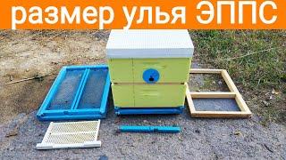 УЛЕЙ ЭППС РАЗМЕРЫ 6 - 8 РАМОК. BEEKEEPING. BEE. Пчеловодство. Восьмирамочник. Шестирамочник.