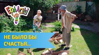 Ералаш Не было бы счастья... (Выпуск №313)