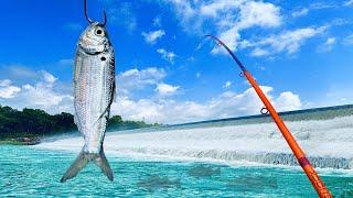 Dream Day Below the Spillway – I Lost Count of the Fish